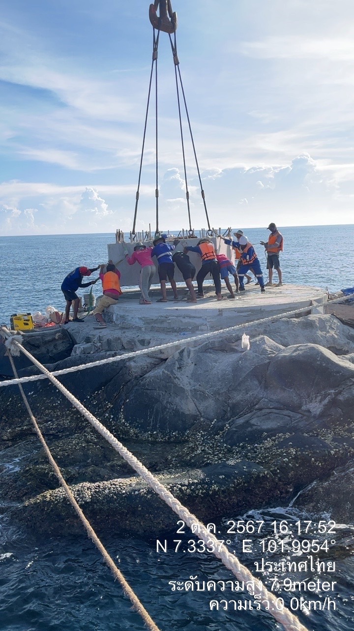 SPC-01 | Losin Island